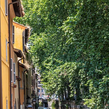 In - Bramante Luxury Apartman *
